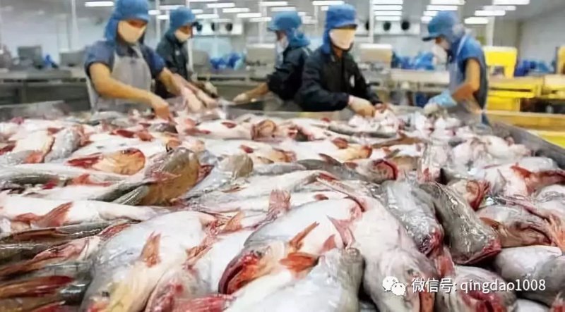 海产品批发行业现状与趋势