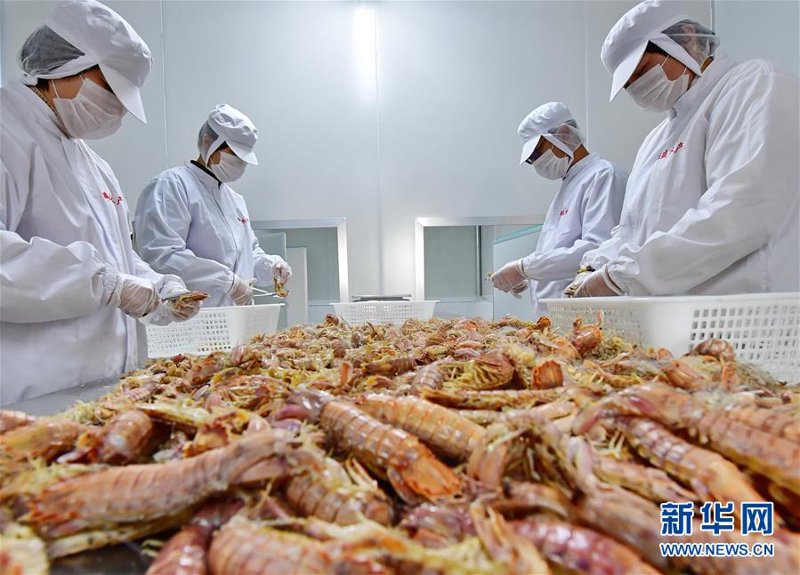 海产品批发：市场新趋势与机遇