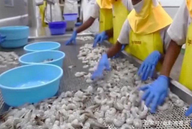 海洋美食的美味之旅——海产品批发市场的洞察